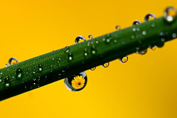 5_副本.jpg 5_副本.jpg