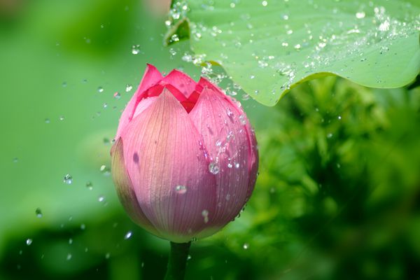 11_副本.jpg 11_副本.jpg