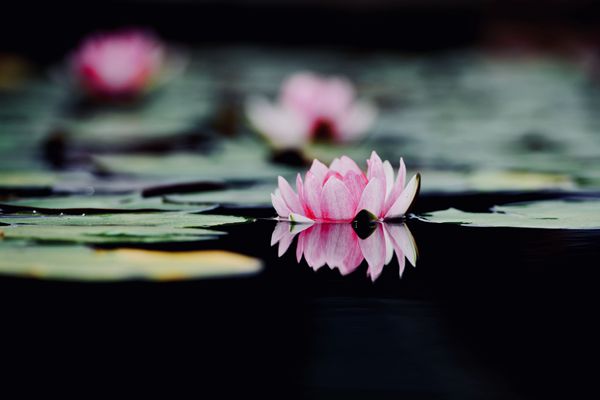 1_副本.jpg 1_副本.jpg