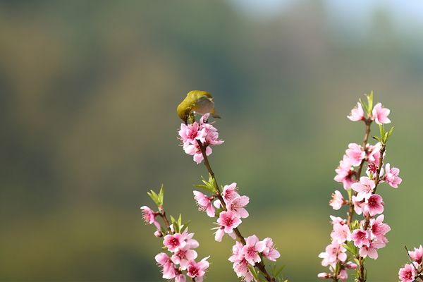 10_副本.jpg 10_副本.jpg