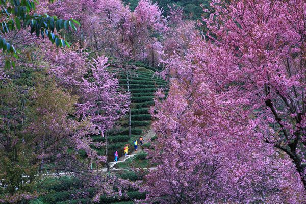 12_副本.jpg 12_副本.jpg