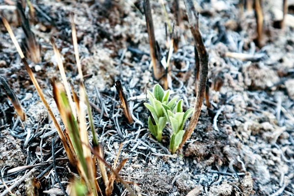 9_副本.jpg 9_副本.jpg