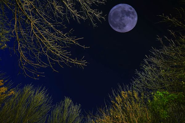 10_副本.jpg 10_副本.jpg