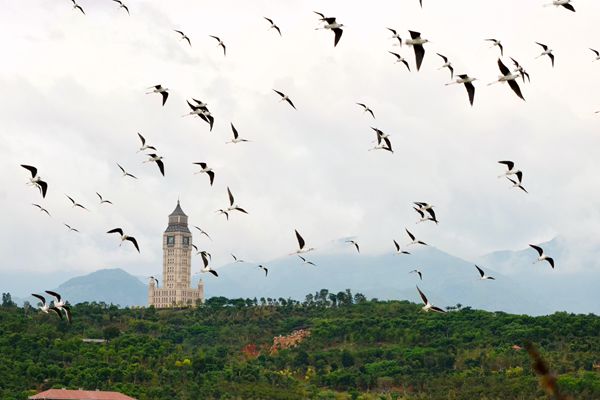 青山遠(yuǎn)黛風(fēng)云卷  南遷候鳥(niǎo)舞蹁躚_副本.jpg