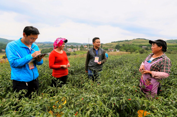 云南省曲靖市麒麟區紀檢干部在卑舍村走訪群眾，了解相關情況 1.jpg