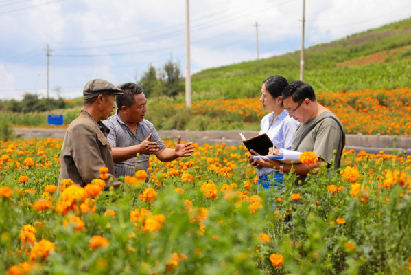 工作組在召夸鎮(zhèn)他官營(yíng)村向群眾了解相關(guān)情況 1.jpg