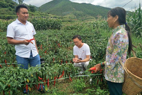 姚安_副本.jpg 姚安_副本.jpg