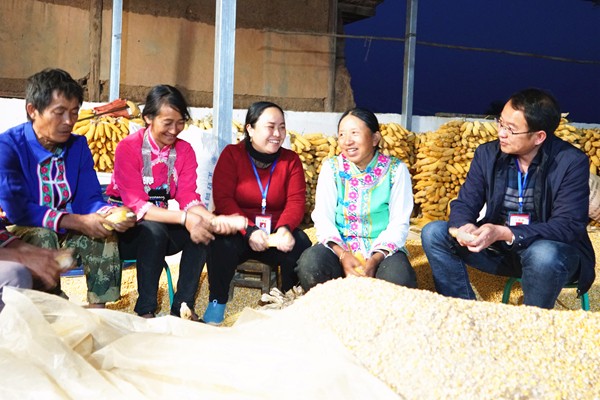 雙柏縣_副本.jpg 雙柏縣_副本.jpg