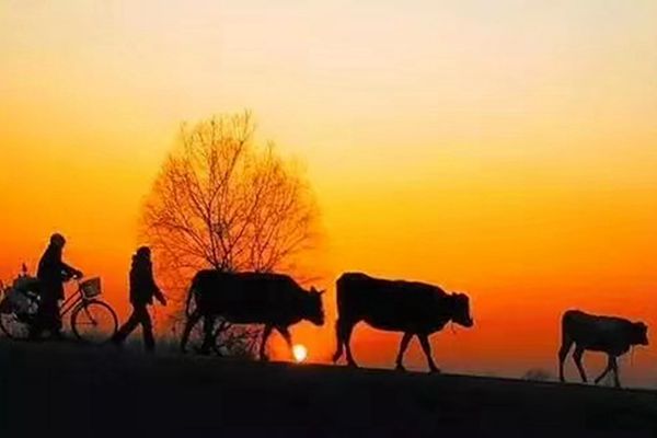 馬龍 (2)_副本.jpg