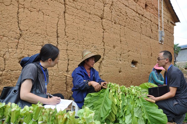 石林_副本.jpg 石林_副本.jpg