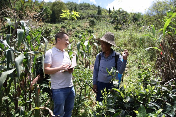 鳳慶縣_副本.jpg 鳳慶縣_副本.jpg