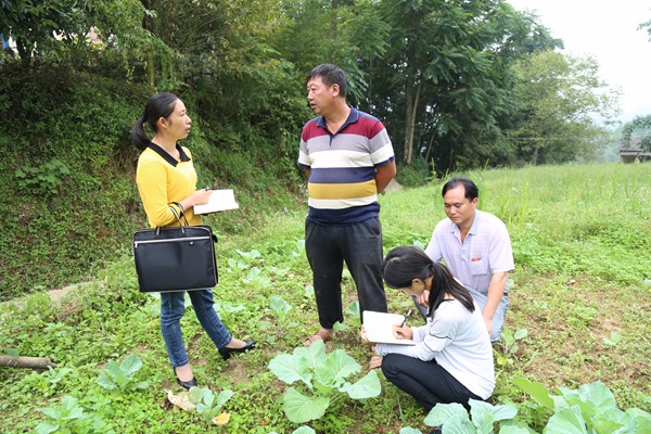 馬關縣_副本.jpg 馬關縣_副本.jpg