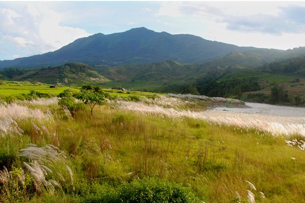 龍江 (2)_副本.jpg