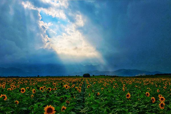 6、 是夕清風(fēng)興，煩云豁然開。（曲靖羅平）_副本.jpg