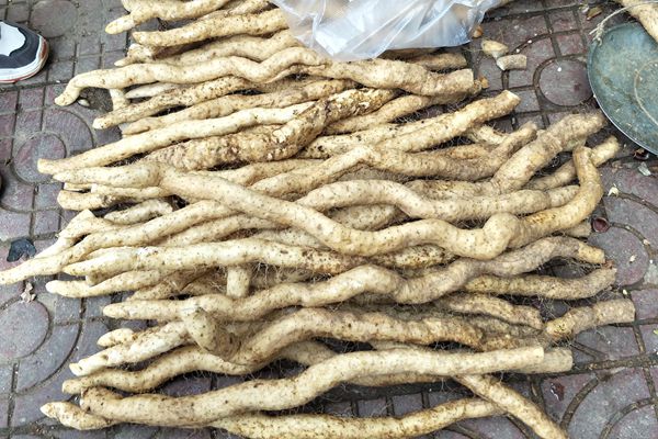 16_副本.jpg 16_副本.jpg