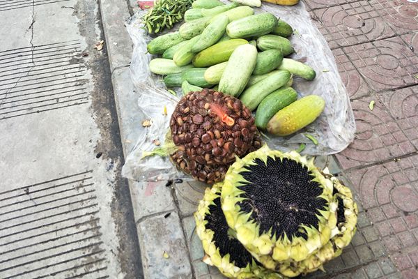 15_副本.jpg 15_副本.jpg