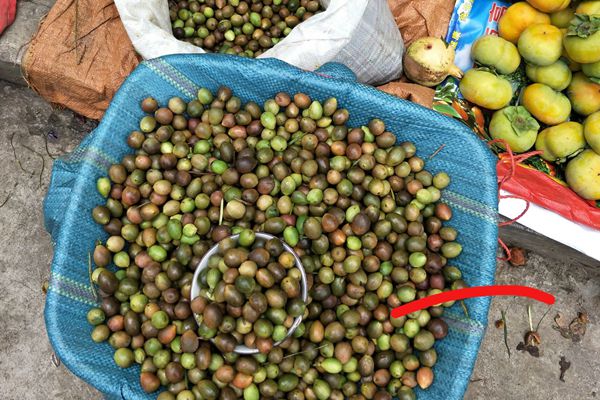 17_副本.jpg 17_副本.jpg