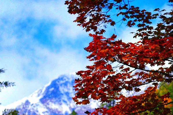 2_副本.jpg 2_副本.jpg