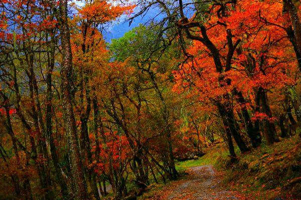 9_副本.jpg 9_副本.jpg