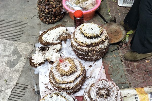 20_副本.jpg 20_副本.jpg