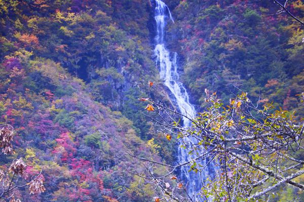 6_副本.jpg 6_副本.jpg