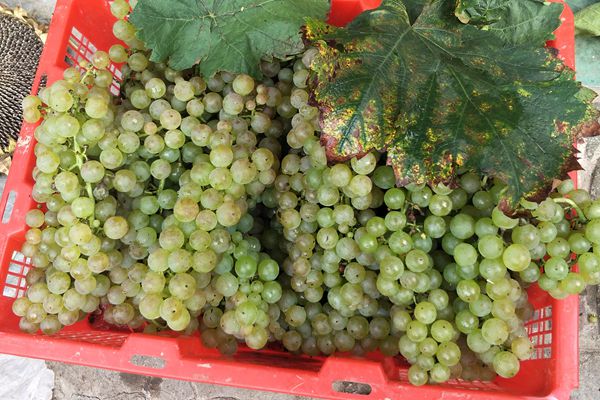 18_副本.jpg 18_副本.jpg