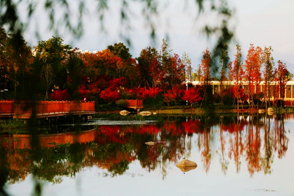 IMG_6661_愛奇藝_副本.jpg IMG_6661_愛奇藝_副本.jpg