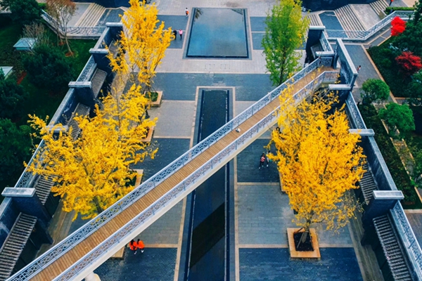 QQ圖片20181113165627_副本.jpg QQ圖片20181113165627_副本.jpg