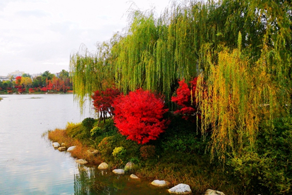 IMG_20181017_192819_副本.jpg IMG_20181017_192819_副本.jpg