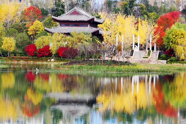 IMG_6679_愛奇藝_副本.jpg IMG_6679_愛奇藝_副本.jpg