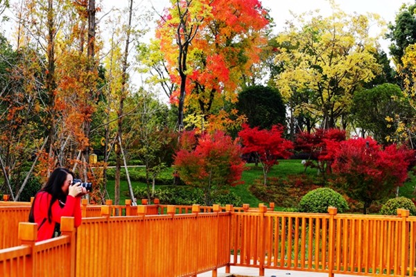 IMG_6685_愛奇藝_副本.jpg IMG_6685_愛奇藝_副本.jpg