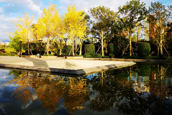 IMG_20181017_173524_副本.jpg IMG_20181017_173524_副本.jpg