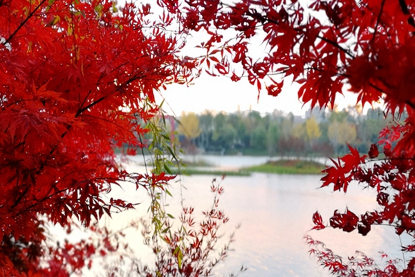 IMG_20181017_192733_副本.jpg IMG_20181017_192733_副本.jpg