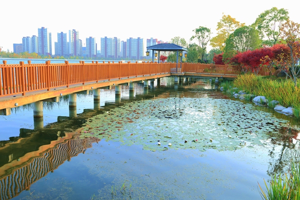 1T1A7036_愛奇藝_副本.jpg 1T1A7036_愛奇藝_副本.jpg