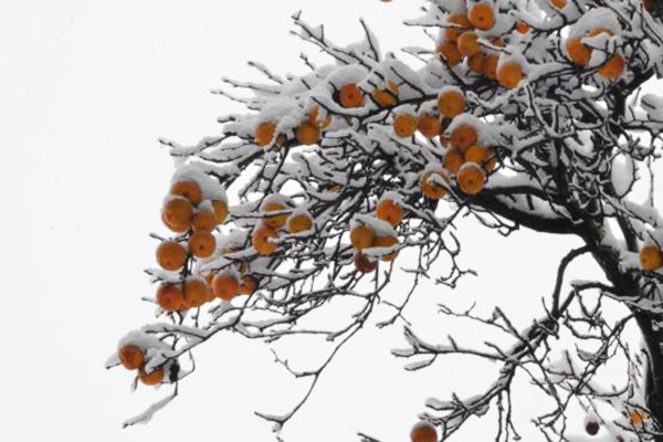 紅河建水1.jpg 紅河建水1.jpg