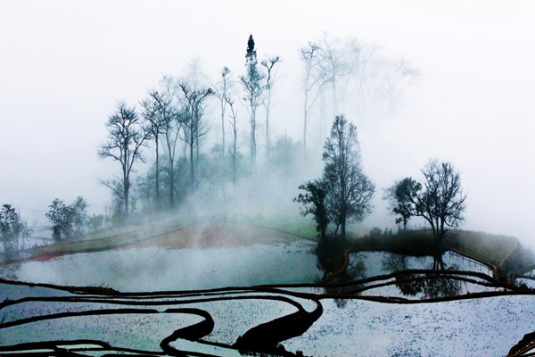 紅河瀘西.jpg 紅河瀘西.jpg