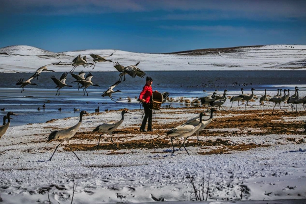 昭通昭陽.jpg 昭通昭陽.jpg