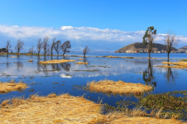 大理.jpg 大理.jpg