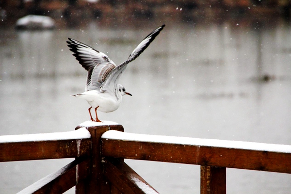 曲靖宣威.jpg 曲靖宣威.jpg