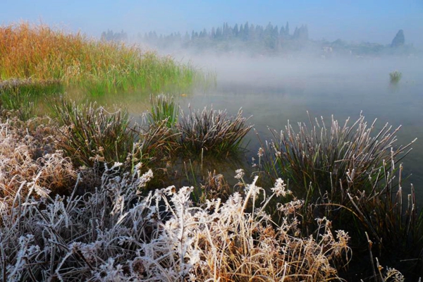 石林.jpg 石林.jpg