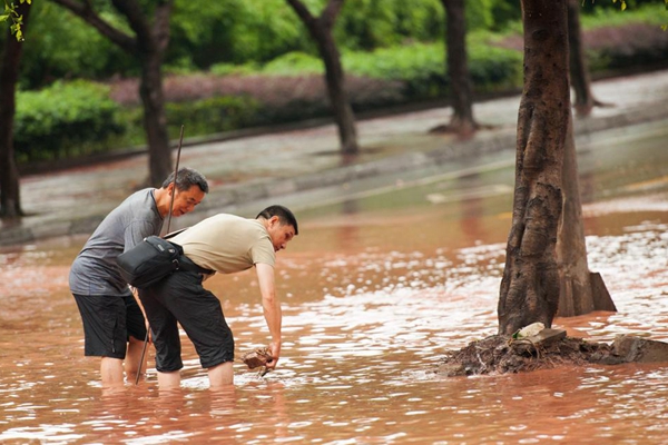 昭通.jpg 昭通.jpg