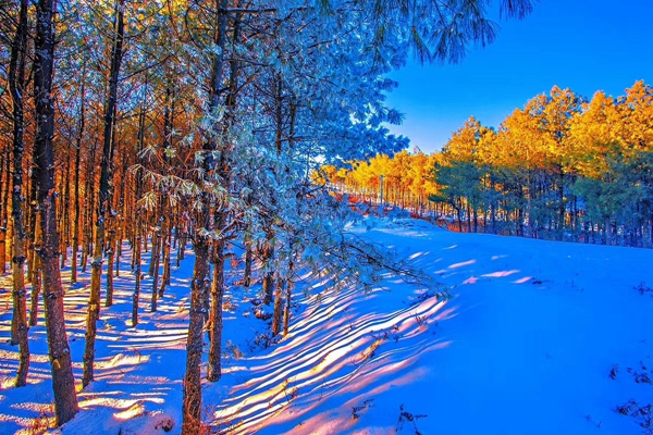 昭通2.jpg 昭通2.jpg