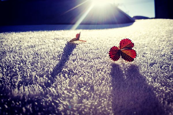 紅河建水.jpg 紅河建水.jpg