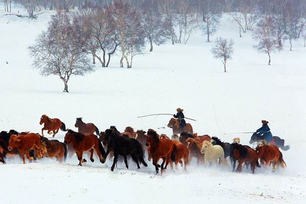 昭通_副本.jpg 昭通_副本.jpg