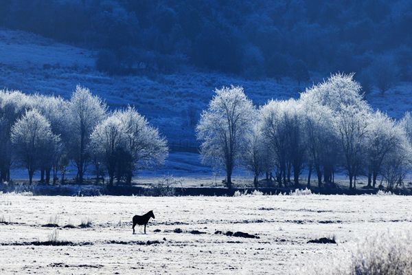 德宏盈江_副本.jpg 德宏盈江_副本.jpg