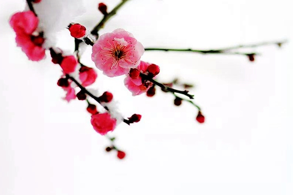 QQ圖片20190110171007_副本.jpg QQ圖片20190110171007_副本.jpg