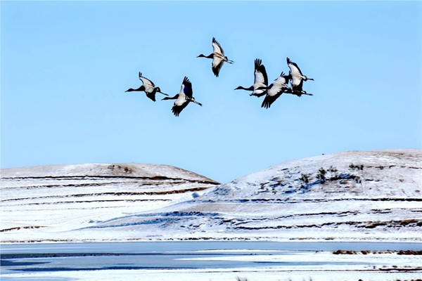 QQ圖片20190111101547.jpg QQ圖片20190111101547.jpg