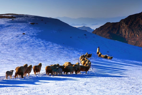 昭通1.jpg 昭通1.jpg