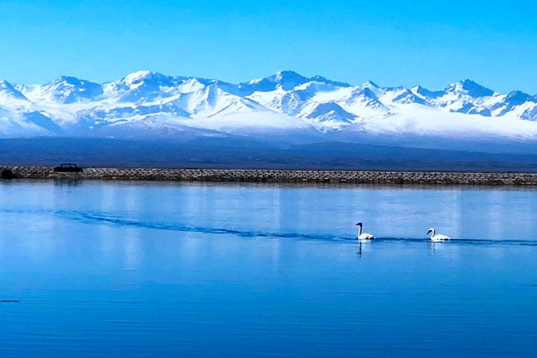 原圖2(跟著鏡頭品詩詞-冬之藏+云南省昆明市五華區紀委監委)_副本.jpg 原圖2(跟著鏡頭品詩詞-冬之藏+云南省昆明市五華區紀委監委)_副本.jpg