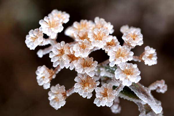 宣威.jpg 宣威.jpg